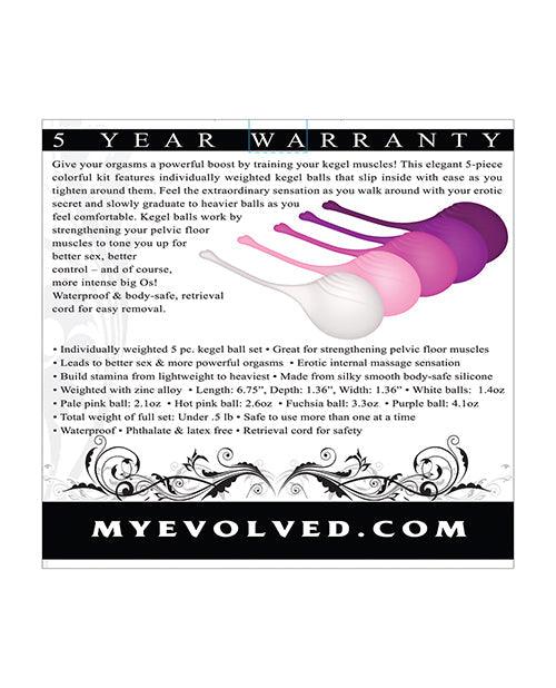 product image,Evolved Tight & Delight 5 Pc Weighted Kegel Ball Set - Assorted Colors - {{ SEXYEONE }}