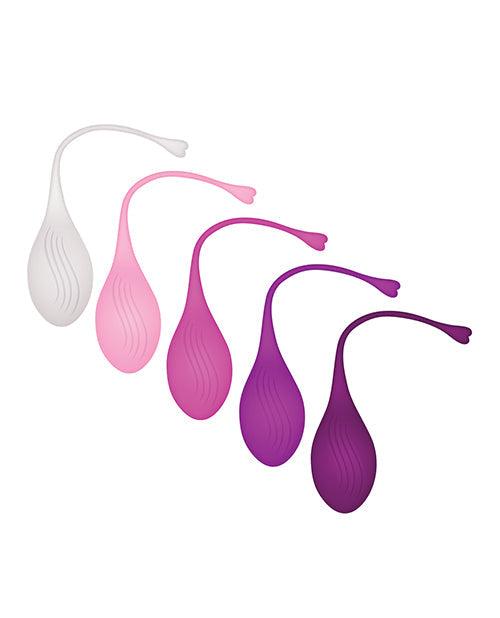 image of product,Evolved Tight & Delight 5 Pc Weighted Kegel Ball Set - Assorted Colors - {{ SEXYEONE }}