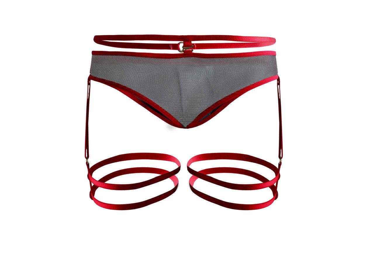 image of product,PIK 1082 Lujueria Garter Thongs - SEXYEONE