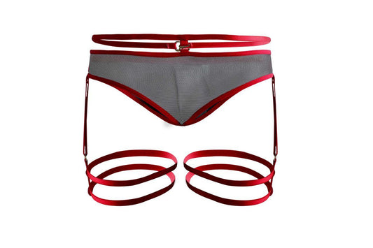 product image,PIK 1082 Lujueria Garter Thongs - SEXYEONE