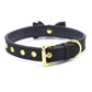 Plesur Cat Bell Bow Tie Collar - Black - SEXYEONE