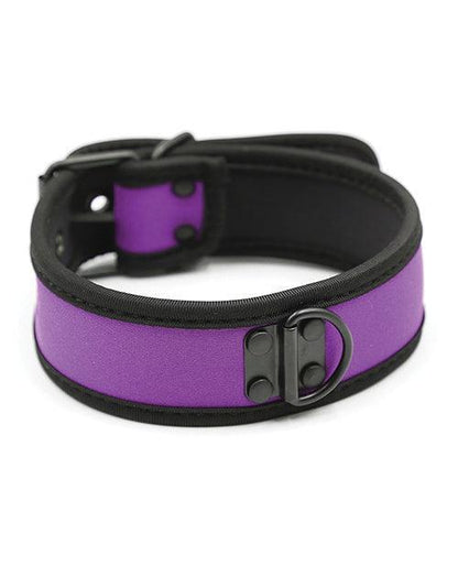 Plesur Neoprene Puppy Collar - - SEXYEONE