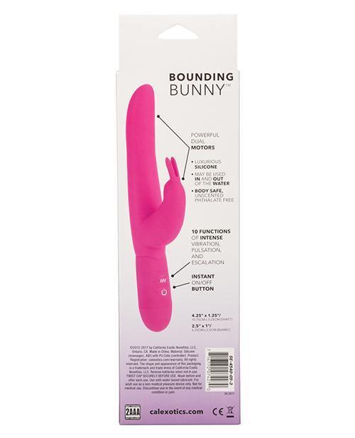 Posh 10 Function Bounding Bunny