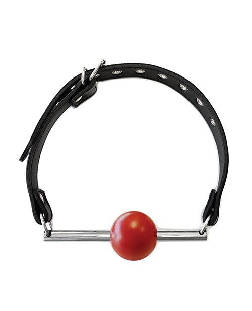 image of product,Rouge Leather Ball Gag With Stainless Steel Rod And Removable Ball - Black With Red - SEXYEONE