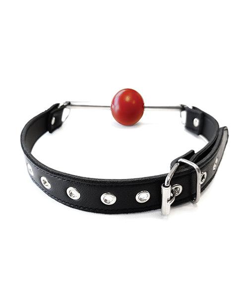 Rouge Leather Ball Gag With Stainless Steel Rod And Removable Ball - Black With Red - SEXYEONE