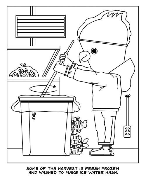 Wood Rocket A Visit To The Cannabis Farm Coloring Book - SEXYEONE