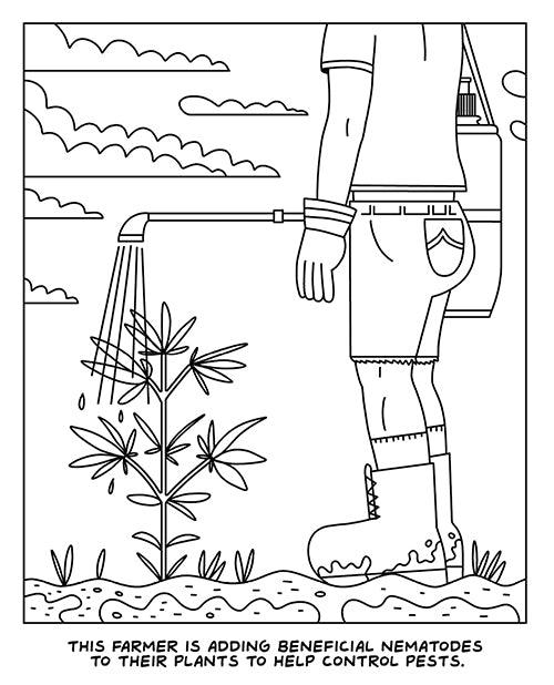 image of product,Wood Rocket A Visit To The Cannabis Farm Coloring Book - SEXYEONE